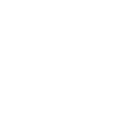 Veículos porta container
